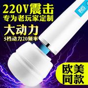 INS直插220V充电大号振震..